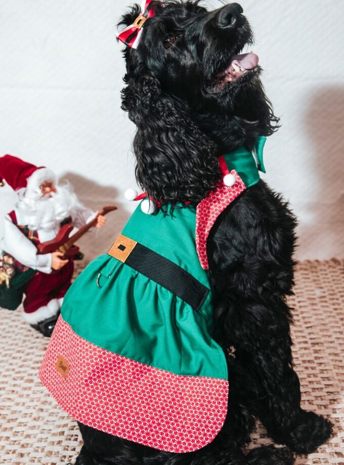 Vestido de Elfa Navideña para Mascotas