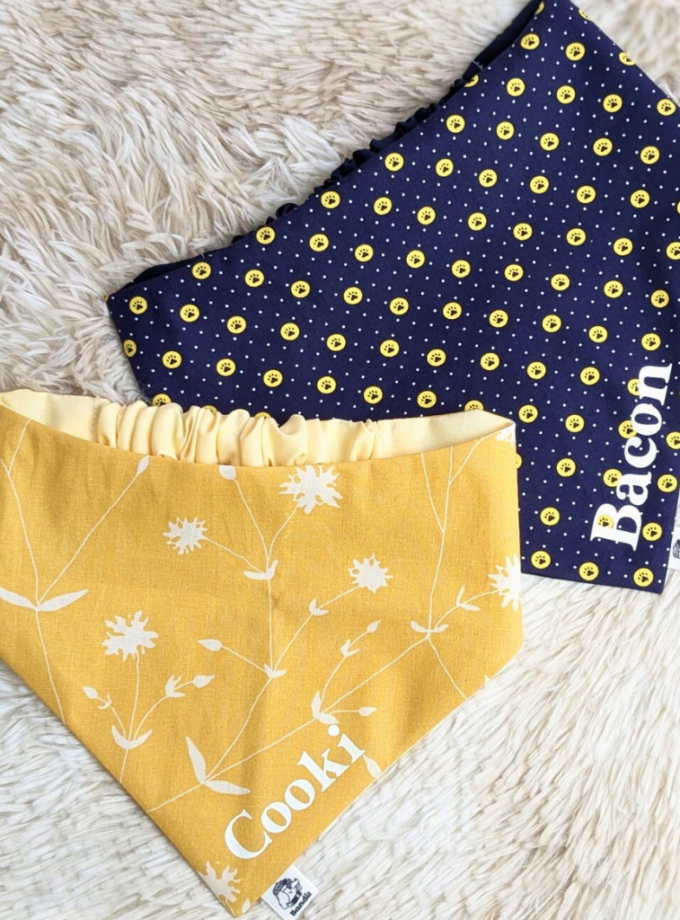 Bandana personalizada con nombre para mascotas