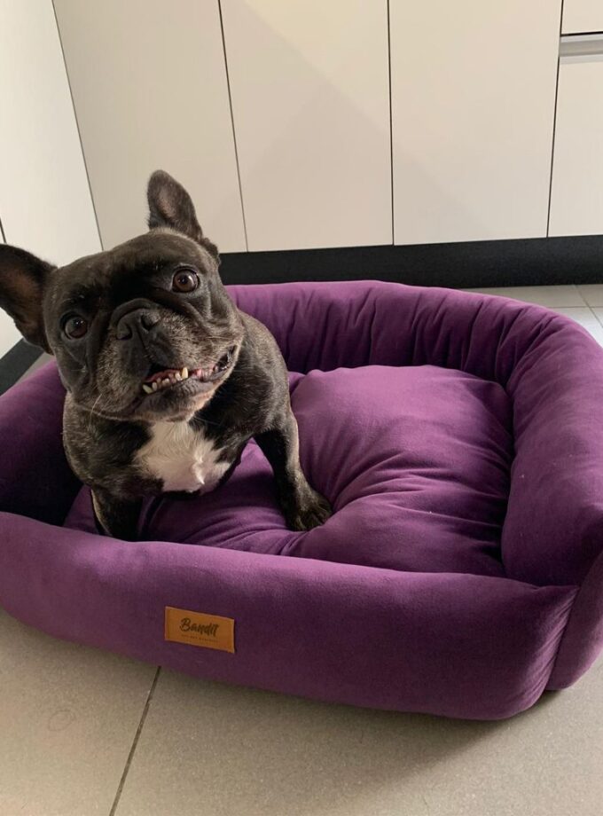 Cama Deluxe para Mascotas - Jersey Bush