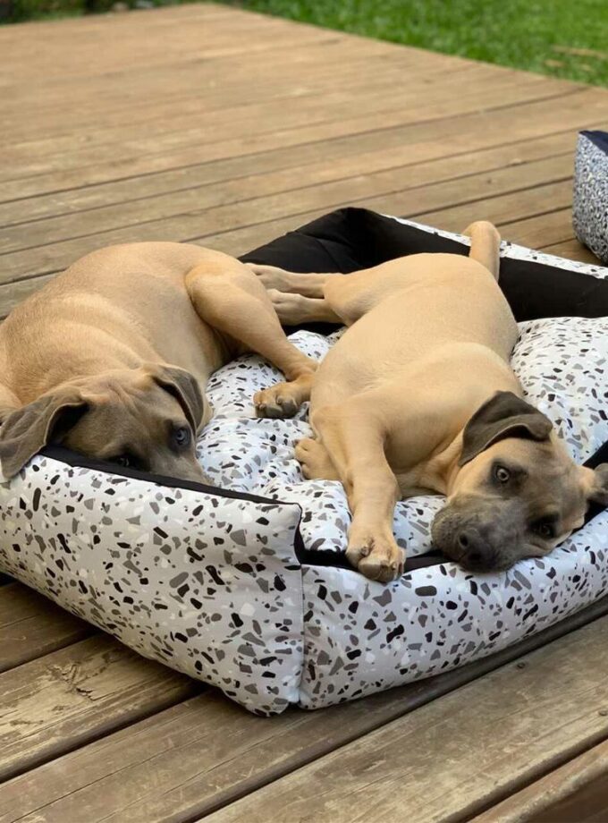 Cama Deluxe para Mascotas - Loneta Estampada