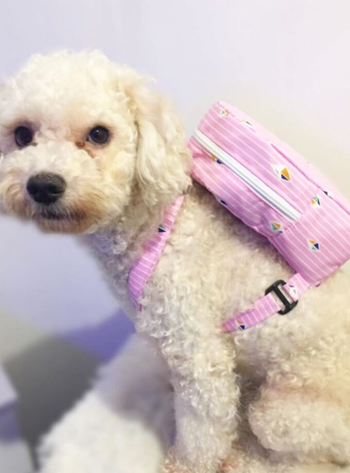 Mochila para salir de paseo