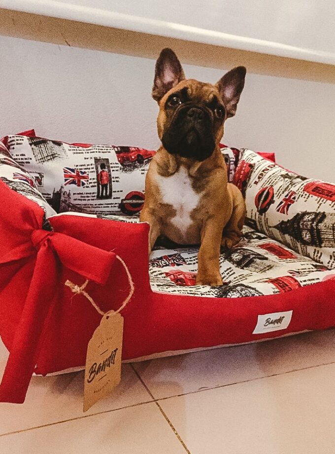 Cama para mascotas rectangular "Vareliana"