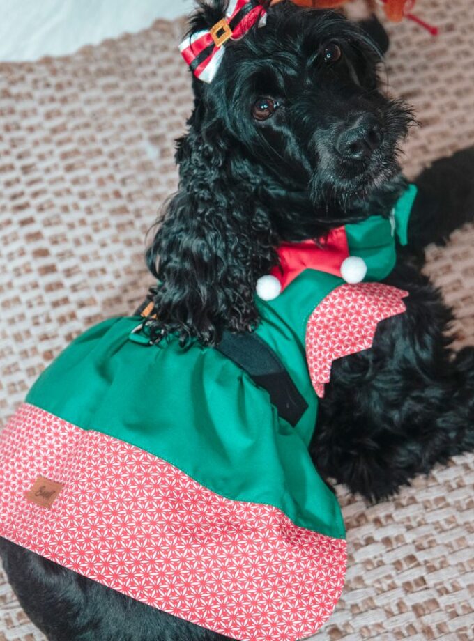 Vestido de Elfa Navideña para Mascotas