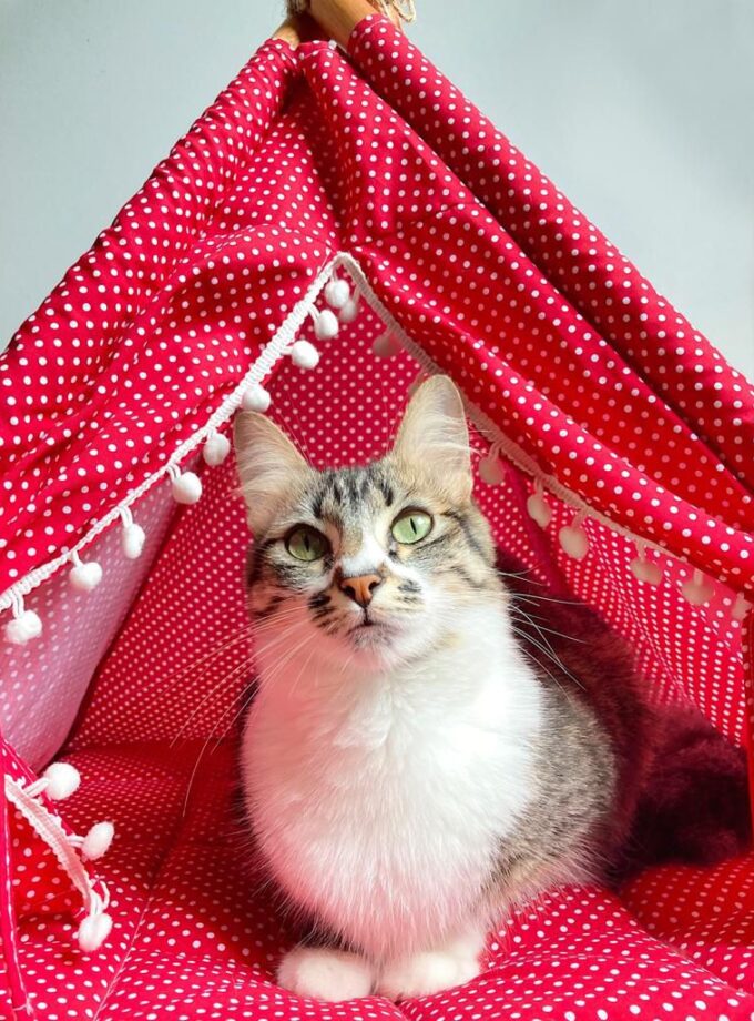 Tienda tipi para mascotas "Nomade"