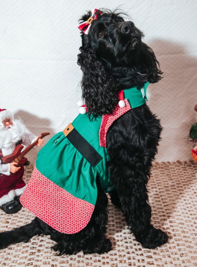 Vestido de Elfa Navideña para Mascotas