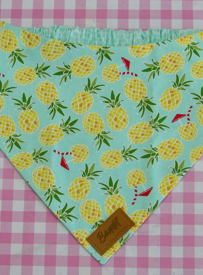 Bandanas con Elástico para Mascotas "Bandastic"