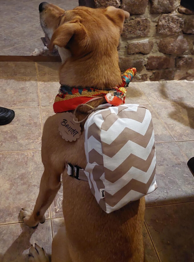 Mochila para salir de paseo