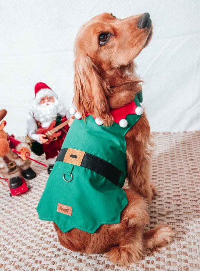 Chaleco de Elfo Navideño para Mascotas