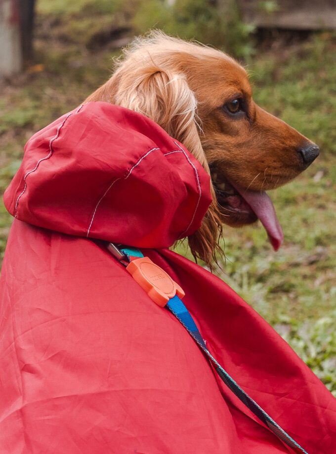 Pilot para la Lluvia "PonPoncho"