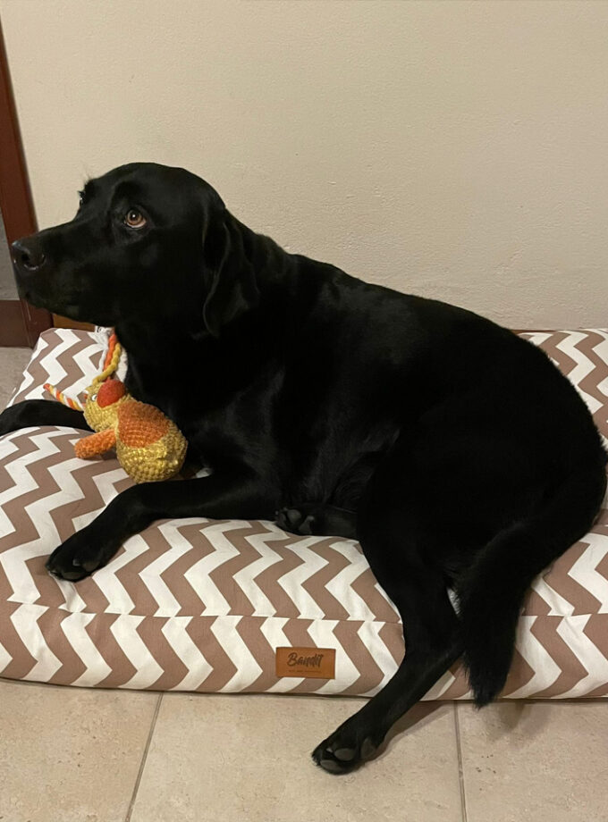 Colchoneta para mascotas Deluxe