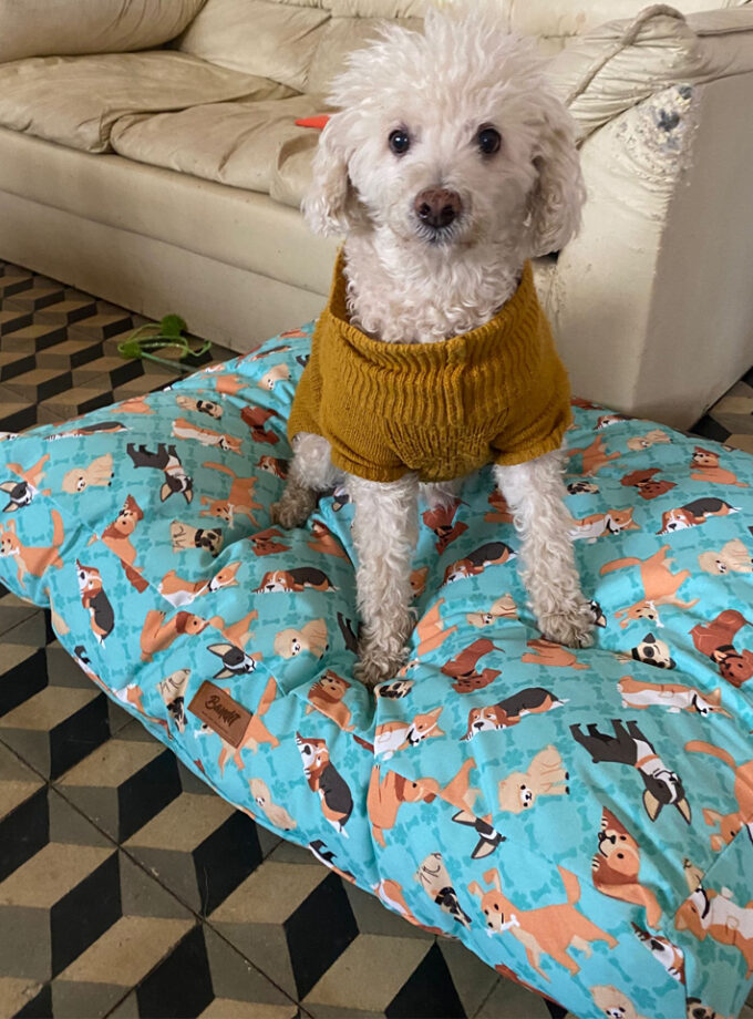 Colchoneta para mascotas Deluxe