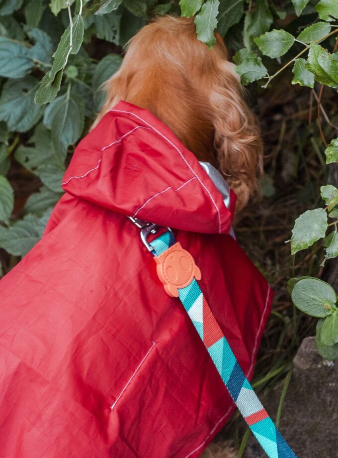 Pilot para la Lluvia "PonPoncho"