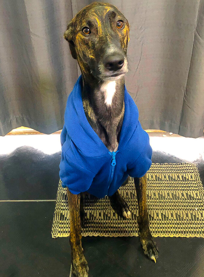 Campera Polar con Capucha