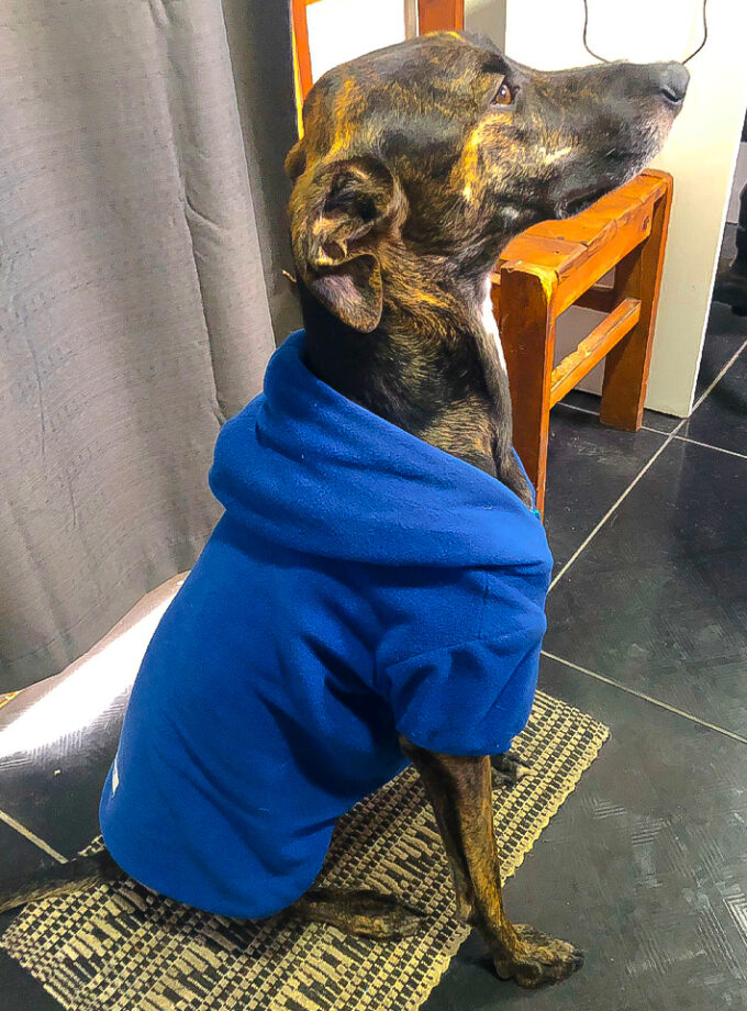 Campera Polar con Capucha