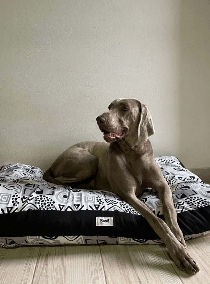 Colchoneta para mascotas