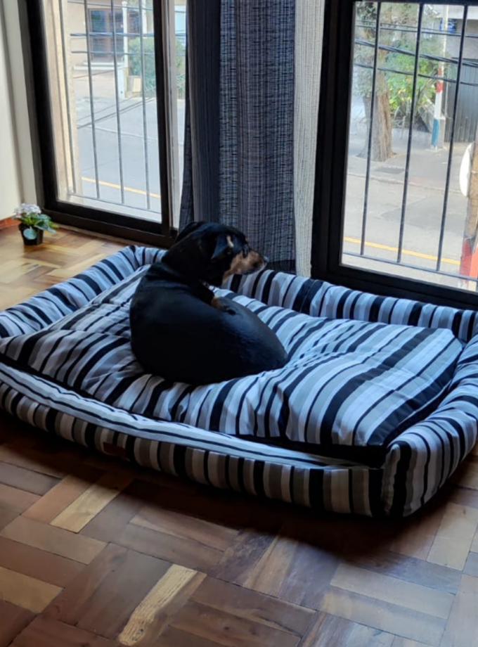 Cama Deluxe para Mascotas - Loneta Estampada