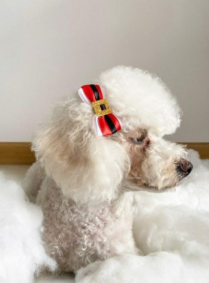 Moñitas Papá Noel para mascotas