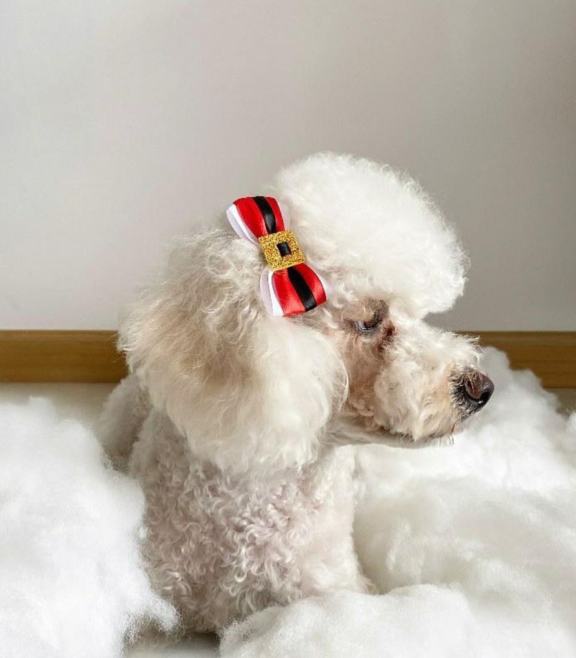 Moñitas Papá Noel para mascotas - Imagen 2