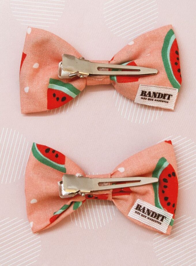 Pack de 2 broches para pelo