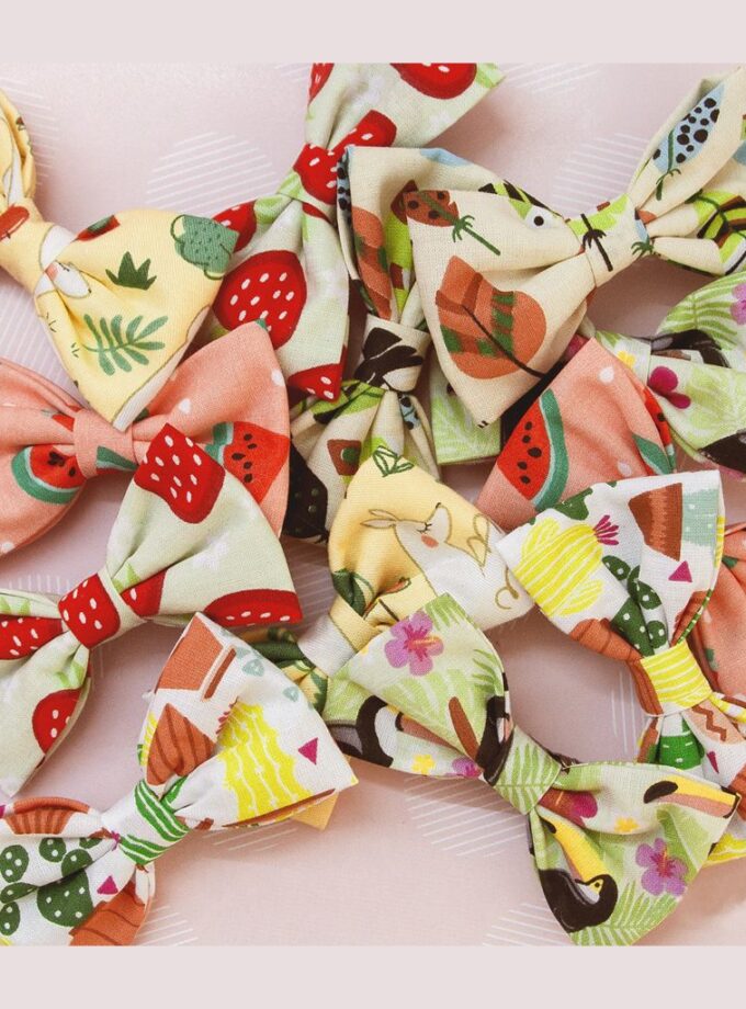 Pack de 2 broches para pelo