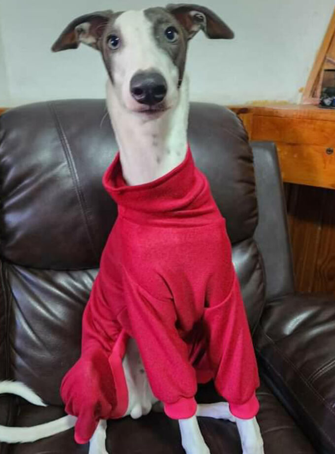 Pijama "Little Nemo"