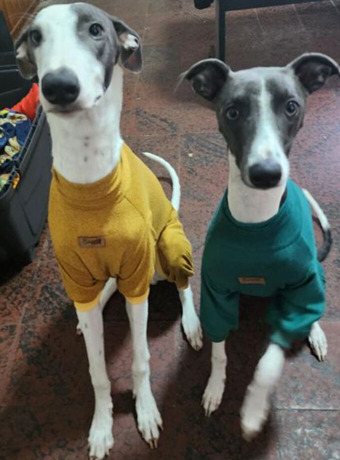 Pijama "Little Nemo"