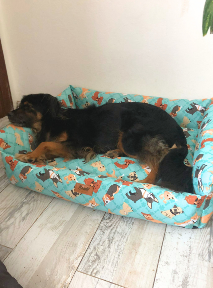 Cama Deluxe para Mascotas - Loneta Estampada
