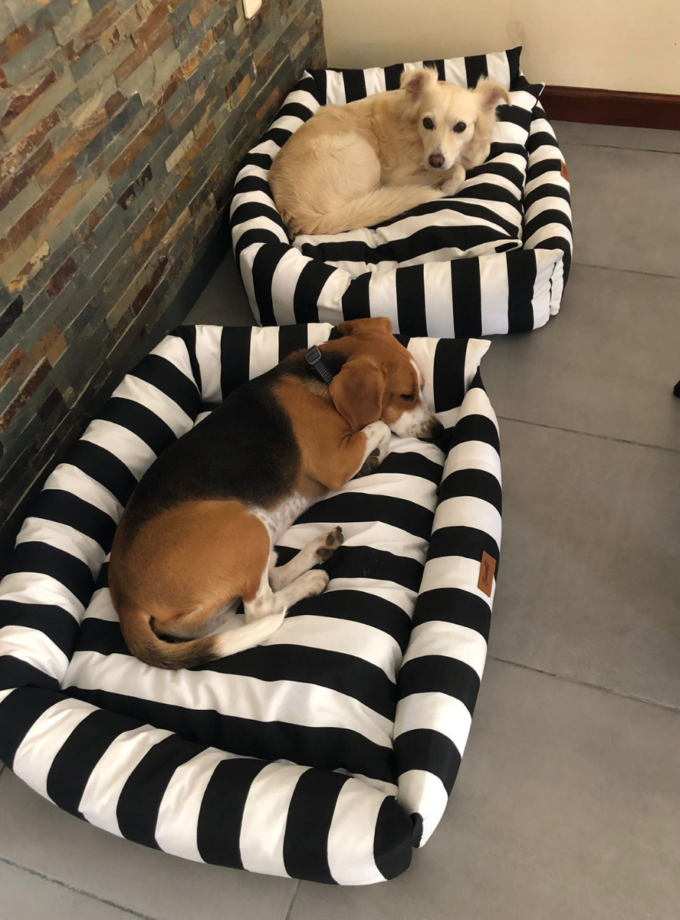 Cama Deluxe para Mascotas - Loneta Estampada
