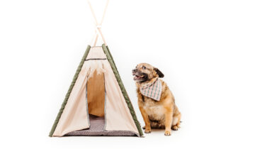 Cómo elegir la tipi ideal en 3 simples pasos