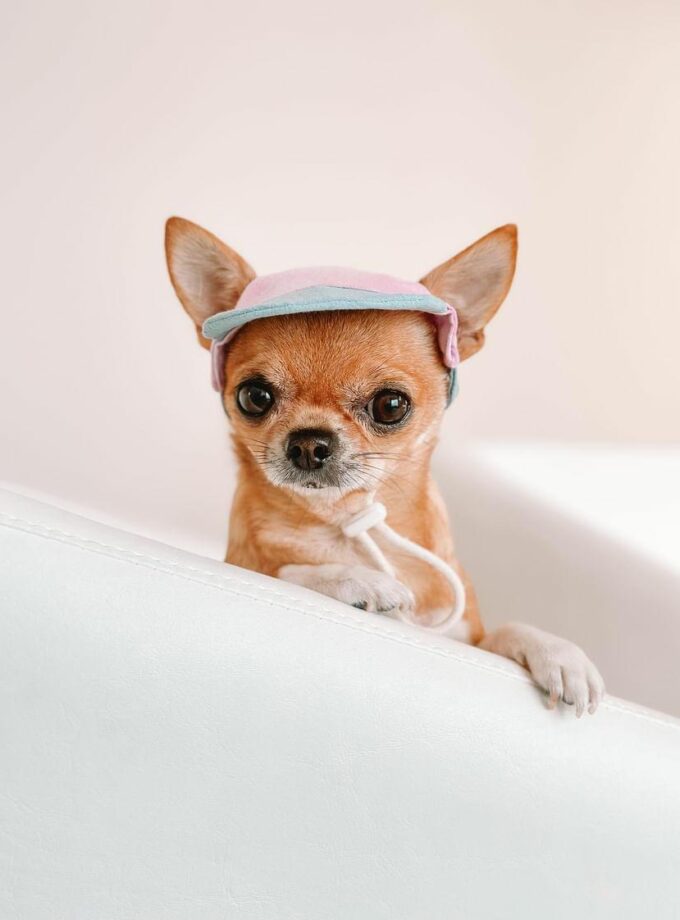 Gorrito para el sol "Brise"