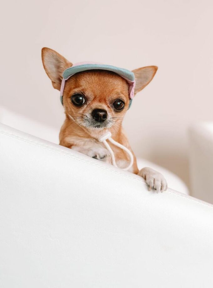 Gorrito para el sol "Brise"