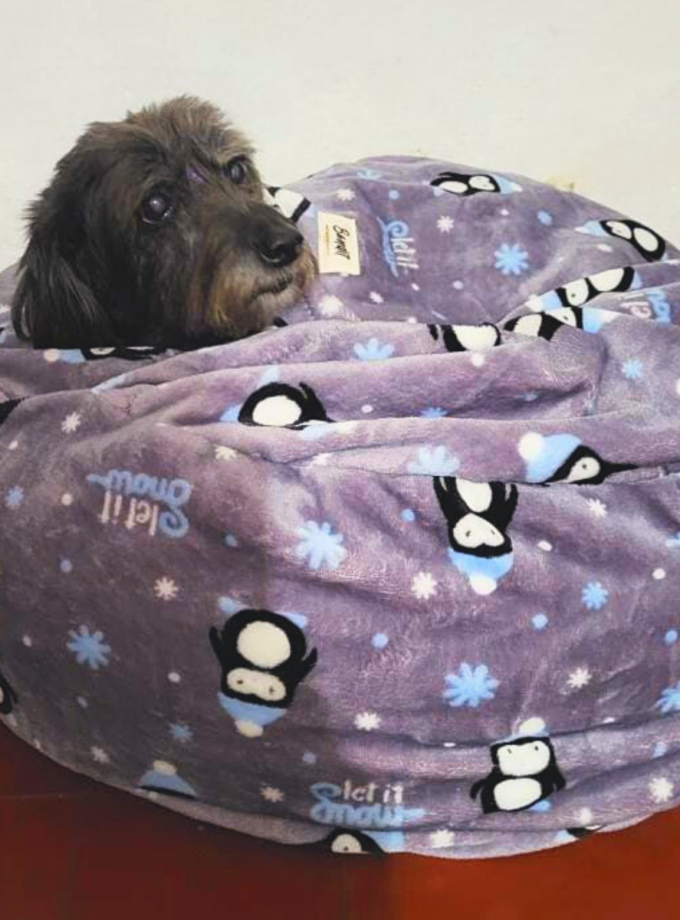 Cama Nido con Mantita para Mascotas