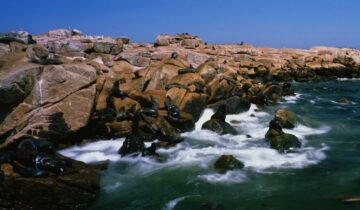 Isla de Lobos: Un Nuevo Hito en la Conservación Natural de Uruguay