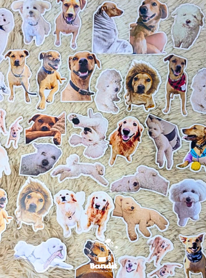 Stickers personalizados de tu mascota - 10 unidades