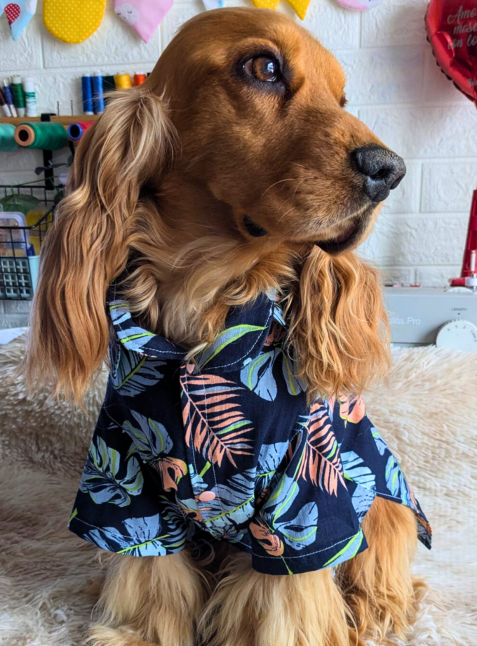 Camisa para Mascotas