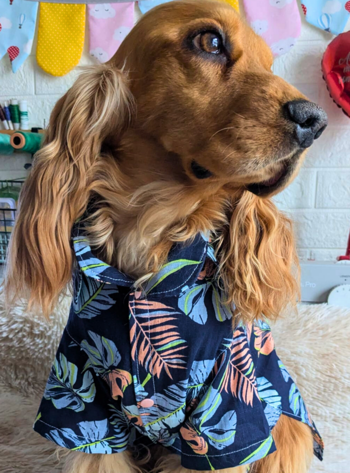 Camisa para Mascotas